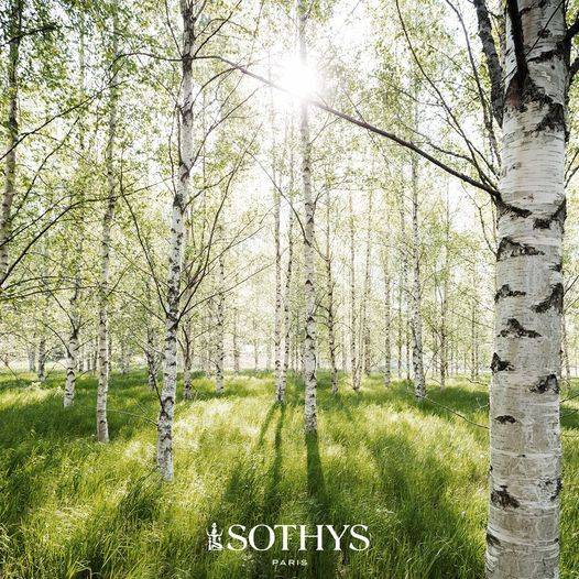 soin visage Sothys Organics BIO