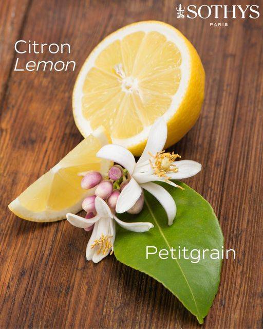 Offres Fête des mères 6 juin 2023