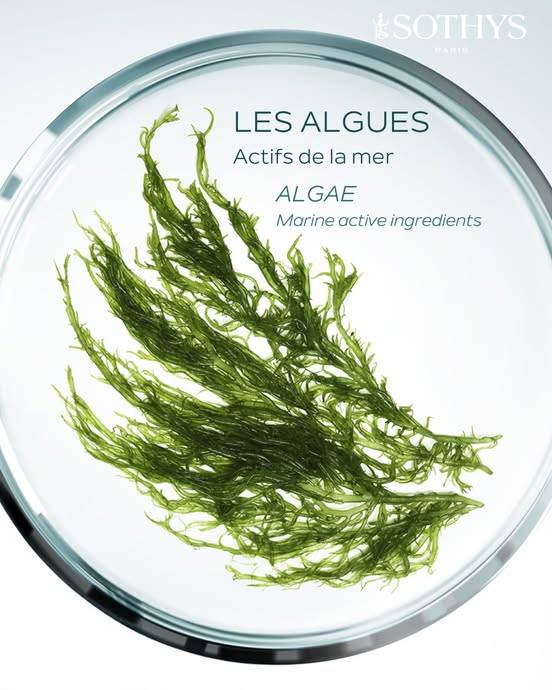 Enveloppement de boue marine Nouveauté 2025