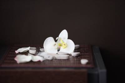 Beauté des mains et beauté des pieds