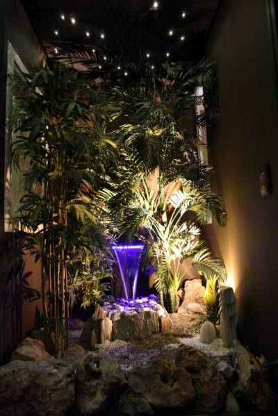 Soin Visage fondamental