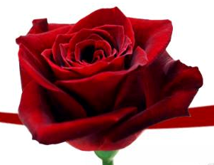 14 FEVRIER ST VALENTIN 2025