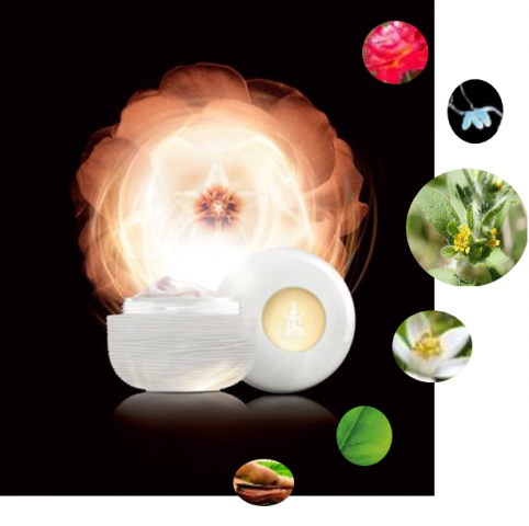 Soin Excellence Secret Visage et corps