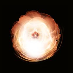 Evasion corps secret