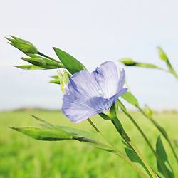 Soin contour des yeux