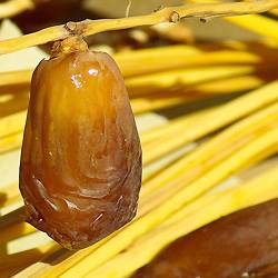 Soin Sensation Orientale: